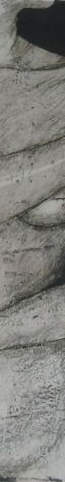 detail, animal vessel by John Mullin