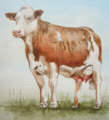 http://www.vergolden.at.tc